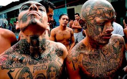Mafia Mexico - những kẻ máu lạnh nhất thế giới