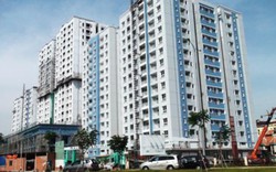 Chủ chung cư Carina Plaza cháy chết 13 người là ai?