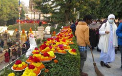 Bodhgaya rạo rực ngày xuân