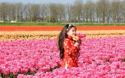 Phát sốt với bộ ảnh 'thiên thần lai' gốc Việt diện áo dài bên cánh đồng hoa tulip