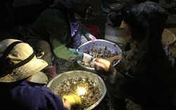 Cua đồng tăng giá “sốc”, người dân đổ ra ruộng săn trong đêm