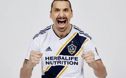 Ibrahimovic đến LA Galaxy với mức lương giảm đi... 95%