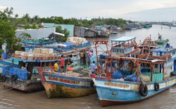 Huyện Trần Văn Thời cam kết không có tàu cá vi phạm lãnh hải sau 30.6