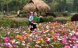 Mộng du giữa vườn hoa vạn người mê "check in" của cô chủ Tuyết Trinh