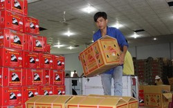 Từ 1.4, xuất khẩu trái cây sang Trung Quốc phải truy xuất nguồn gốc