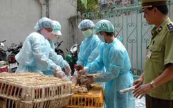 Kinh hoàng cúm A/H7N9 cướp mạng sống của 621 người Trung Quốc