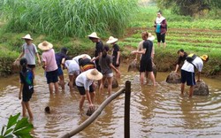 Du lịch nông nghiệp: “Mỏ vàng” chờ khai phá