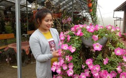 Vườn hoa lan vạn người mê trị giá tiền tỷ ở cao nguyên Mộc Châu