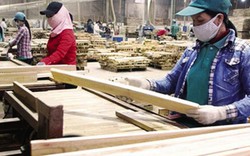 Vào CPTPP, Việt Nam sẽ trở thành cường quốc xuất khẩu gỗ