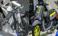 Yamaha QBix và Motoroid: Hương vị lạ của làng xe hai bánh