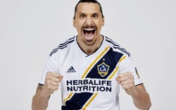 Ibrahimovic muốn đến MLS từ trước khi gia nhập M.U