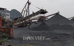 Dừng hoạt động nhà máy tuyển than ở ven bờ vịnh Hạ Long vì ô nhiễm