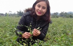 Hòa Bình: Hotgirl trồng cây dại, mỗi tháng bỏ túi hàng chục triệu đồng