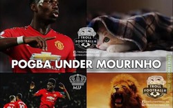 Biếm họa: Pogba từ mèo hiền biến thành sư tử