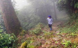 Lào Cai: Bí ẩn con đường đá cổ dẫn vào rừng rậm âm u