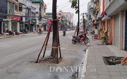 Quảng Ninh: Lạ đời với dự án trăm tỷ trồng cây dưới lòng đường