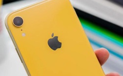 Tại sao người Trung Quốc không mua iPhone XR của Apple?