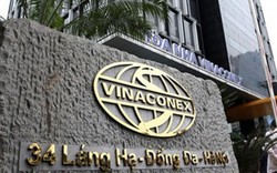 Đại gia bí ẩn đứng sau thương vụ đấu giá Vinaconex sắp lộ diện?