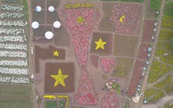 Flycam: Ngắm cúp Asian Cup làm từ hàng vạn cây hoa giữa lòng Hà Nội