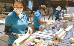 Việt Nam “xắn tay” cùng “láng giềng” kiểm soát gỗ hợp pháp