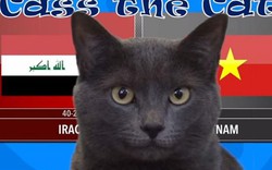 Asian Cup: Mèo tiên tri nước Anh đoán Việt Nam đánh bại Iraq tối nay