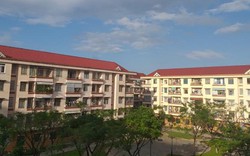 Đà Nẵng: Nhan nhản tin rao bán căn hộ chung cư nhà nước trái phép