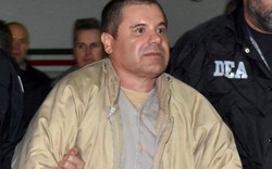 Trùm ma túy El Chapo bị chính đàn em bán đứng thế nào?