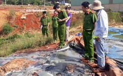 Bộ TNMT: Tăng thanh tra đột xuất, xử lí điểm nóng về môi trường