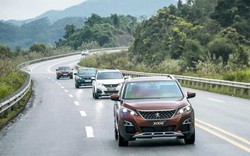 Ưu đãi đồng loạt ô tô Peugeot dịp Tết