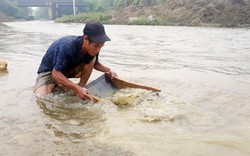 Lào Cai: Theo dân ra suối làng Chiềng đãi cát tìm vàng cám