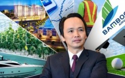 Bamboo Airways của ông Trịnh Văn Quyết đối diện với website giả mạo