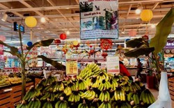 Tin mừng cho người trồng chuối già lùn A Lưới: Lên kệ siêu thị BigC