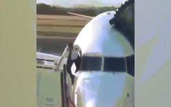 Tức cười cảnh phi công trèo qua cửa sổ máy bay vào buồng lái khi quên chìa khóa