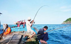 Ly kỳ: 1 dây trăm lưỡi câu dính nhiều cá thu ở biển La Gi