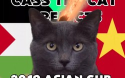Mèo tiên tri Cass mang "tin dữ" cho ĐT Việt Nam khi đấu Jordan