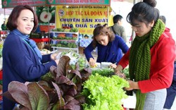 Tha hồ mua khoai sọ Cụ Cang, bưởi ngon, chanh thơm ở chợ xuân Sơn La