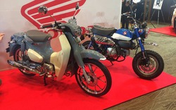 Honda Super Cub C 125 và Monkey 125 thêm màu mới, giá 84,6 triệu đồng