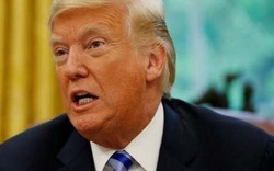 Báo Mỹ: Trump hơn 8.000 lần tuyên bố không chính xác hoặc gây hiểu nhầm