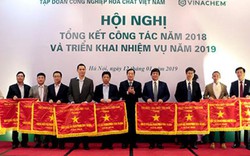 Đạt doanh thu cao, Supe Lâm Thao được vinh danh