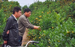 Hà Nội đầu tư trên 28.000 tỷ nâng cao đời sống nông dân