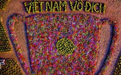 Cup vô địch làm từ nghìn bông hoa cổ vũ tuyển Việt Nam