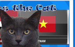 Việt Nam - Nhật Bản: Mèo tiên tri dự đoán Việt Nam thắng Nhật Bản