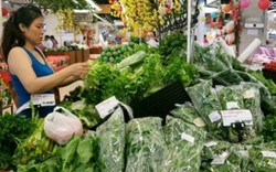 TP.HCM: Thực phẩm, rau xanh "ùn ùn" về siêu thị, giá tăng nhẹ