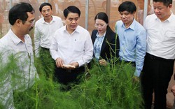 Khuyến nông Hà Nội: Giúp nhà nông đổi đời, xây dựng nông thôn mới