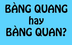 Hàng triệu người Việt vẫn dùng sai những từ này mỗi ngày, liệu bạn có nằm trong số đó?