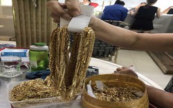 Quảng Nam: Khởi tố "siêu trộm" khoắng hơn 450 lượng vàng