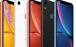 iPhone Xr là chiếc iPhone bán "chạy" nhất quý 4 2018
