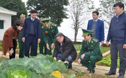 Chủ tịch Hội NDVN bất ngờ với bắp cải "khủng" ở đồn BP Lào Cai