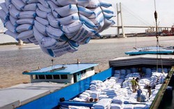 Các cường quốc xuất khẩu gạo châu Á cạnh tranh trong “cuộc đua” mới