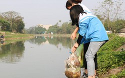 Ngày ông Táo về trời, “ngả mũ” thán phục hành động này của các bạn trẻ